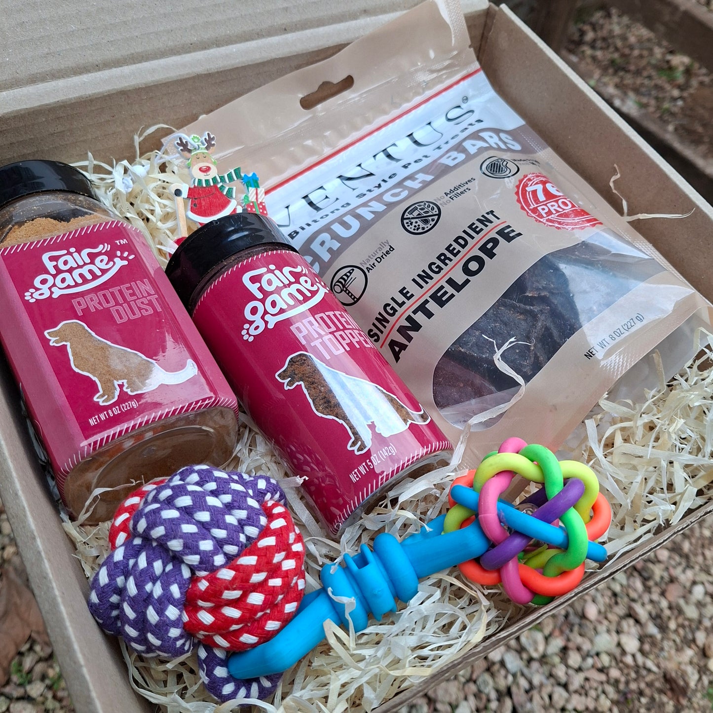 Santa Paws Gift Box