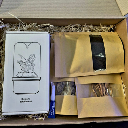 M•O•S•S•Y DOME™ - Mini Terrarium Kit (Christmas Edition)